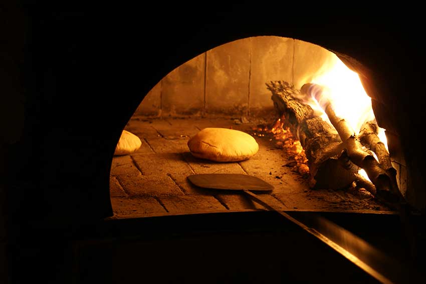 Enogastronomia biologica